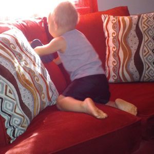 Meet your Posher, Lashay